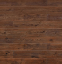 TF8001 Ombre