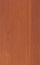 Boîte de 10 noix Acadia