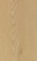 Boîte de 10 Chêne Castané