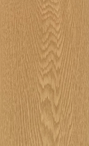 Boîte de 10 chênes de Cuenca