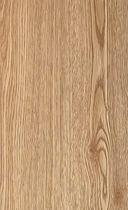 Boîte de 10 Chêne miel