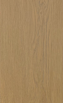 Boîte de 10 chênes lauriers