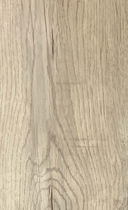 Boîte de 10 Chêne Ocala