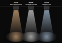 RCLR13R2-6CT