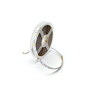 SMD 5050 Strip Light RGBW Roll