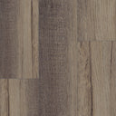 SPC-5651 NEW CASTLE ELM
